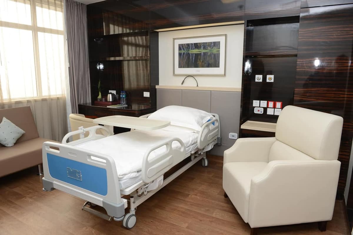Cross-border medical companion