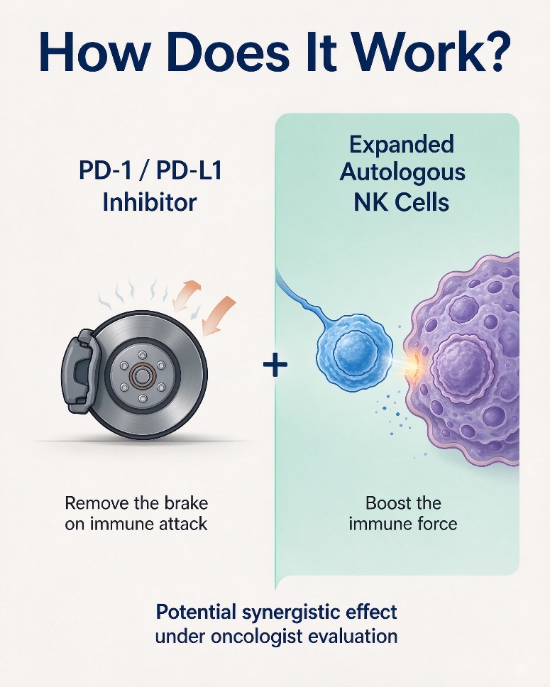 Mechanism: PD-1/PD-L1 inhibitors remove the brake on immune attack while expanded autologous NK cells boost the immune force