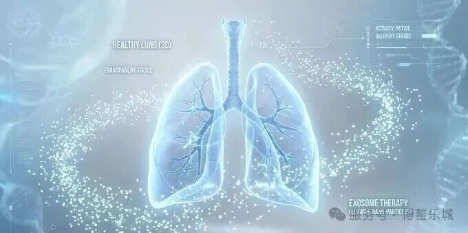 3D illustration of exosome delivery to the lungs