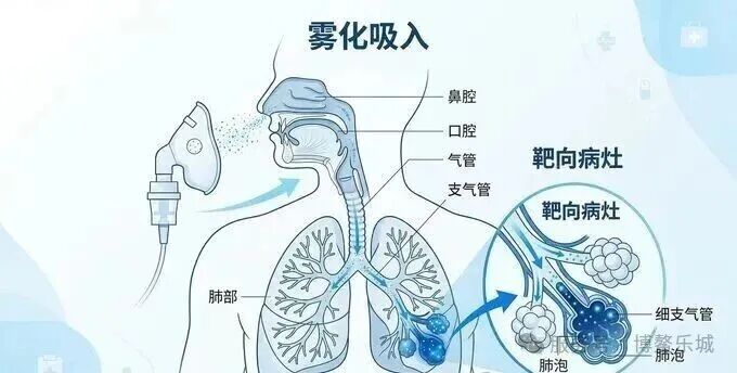 Nebulized inhalation reaching the alveoli