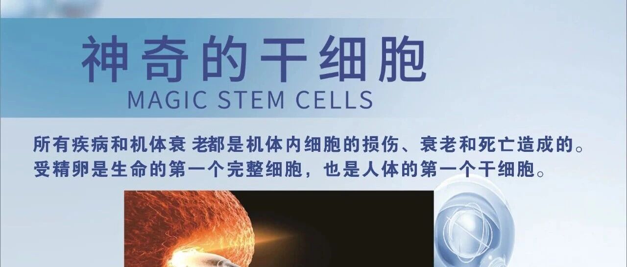Magic stem cells poster