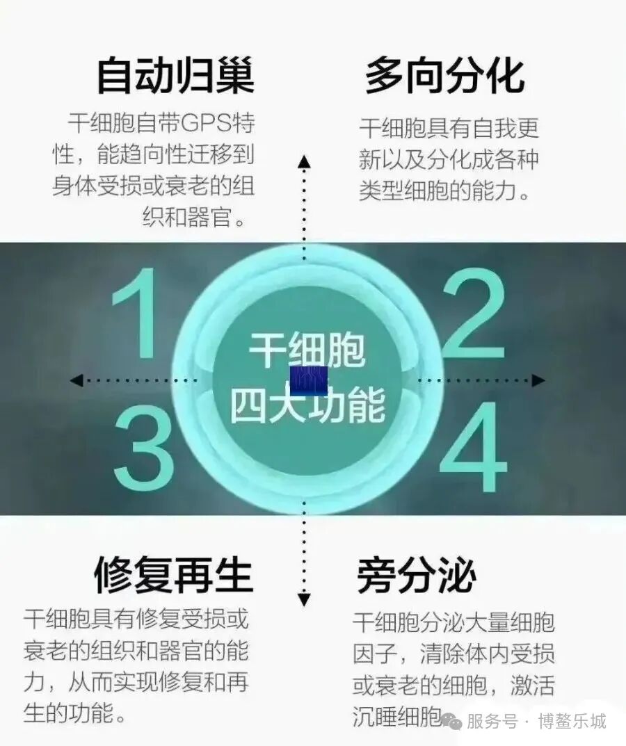 Four claimed stem-cell functions
