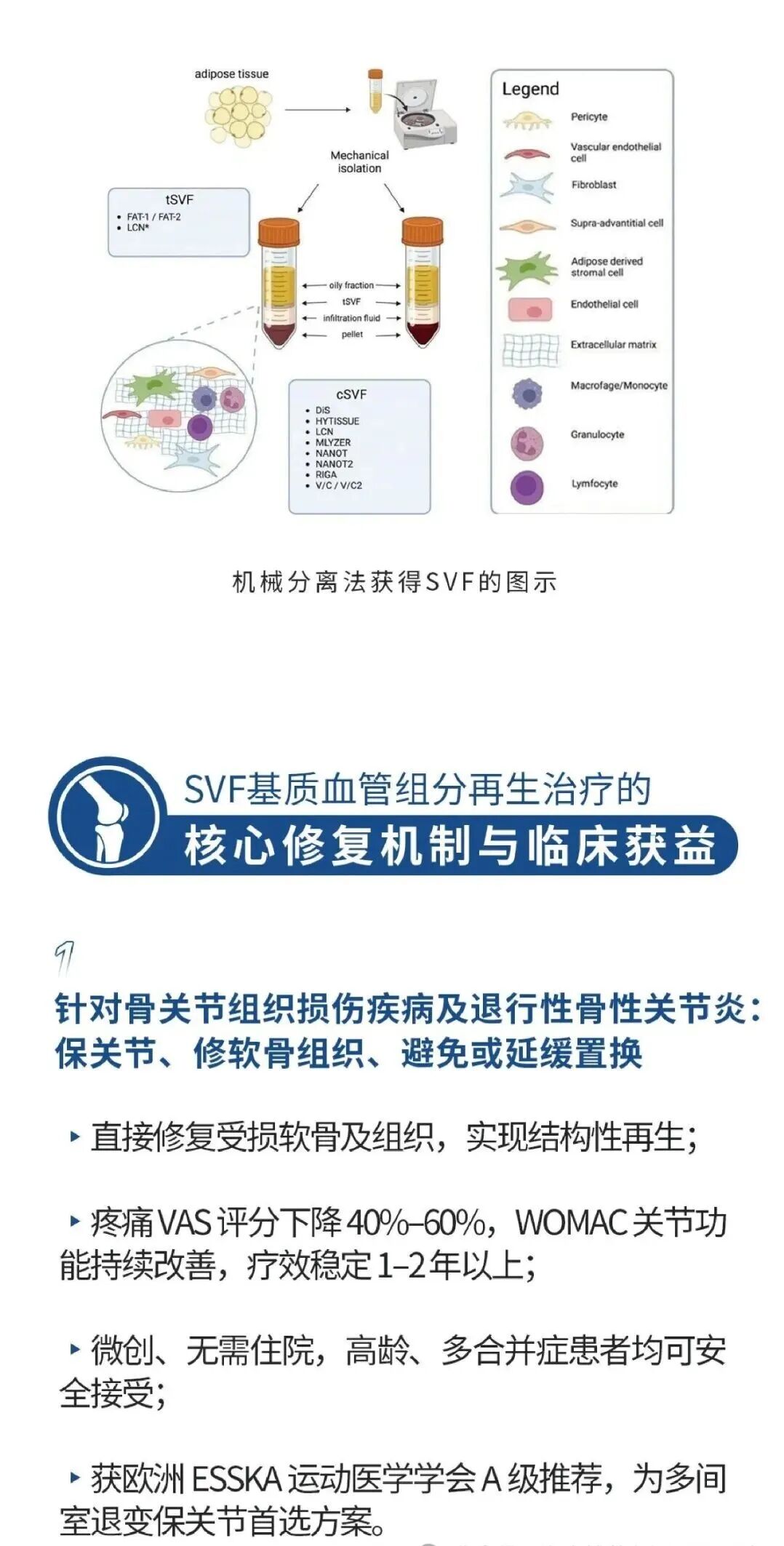 Mechanical SVF isolation and joint clinical claims
