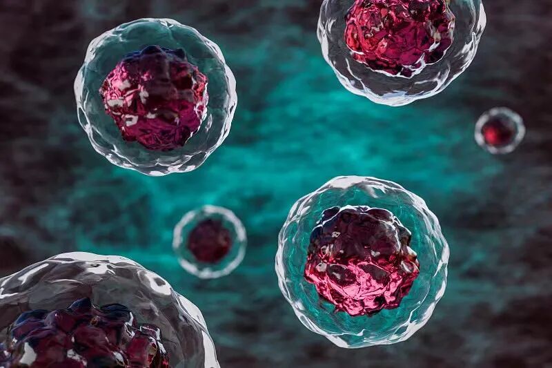 Cell handling in the lab
