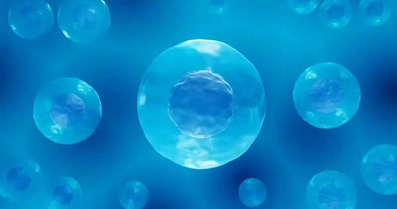 Cell culture and QC scene